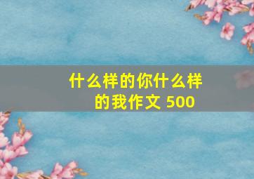 什么样的你什么样的我作文 500